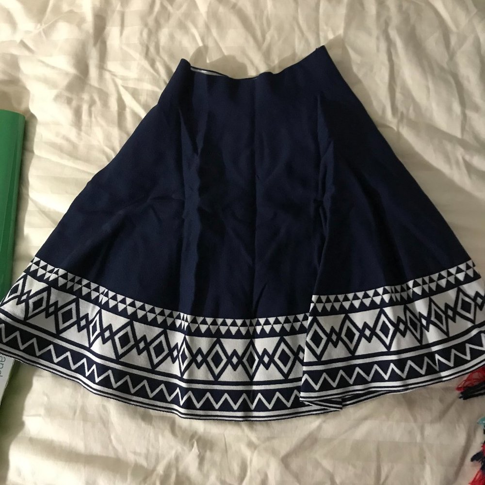 Francesca's Blue Mini Skirt
